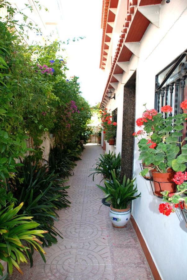 Apartamentos Inter Gandia Playa Zewnętrze zdjęcie